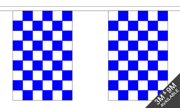 Blue and White Check Bunting